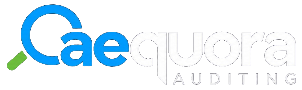 Aequora Auditing
